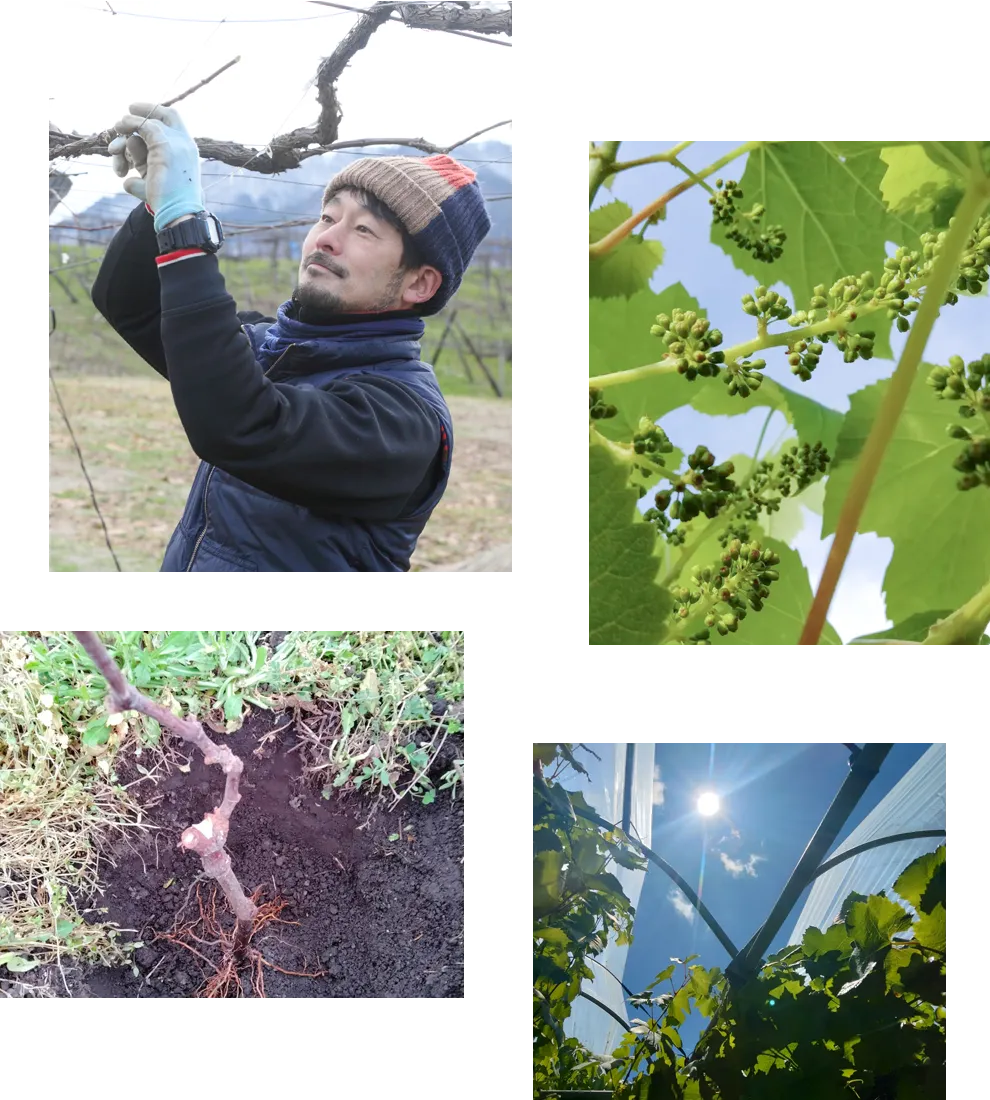 アグリ・クール