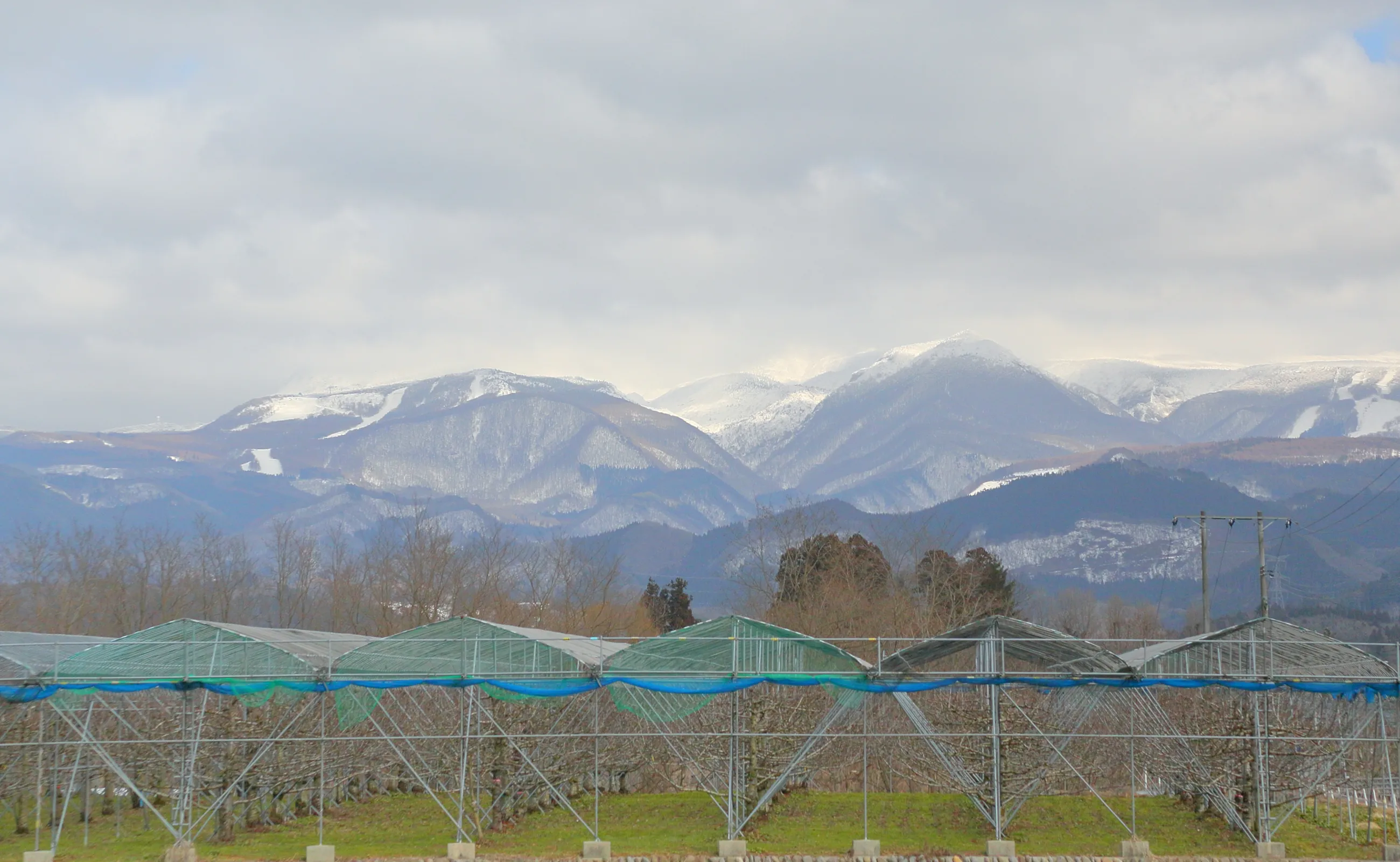 農園から見る風景