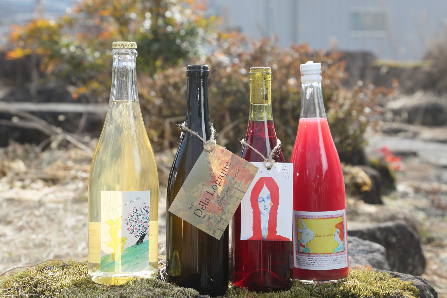 BASEにて新作ワインを随時販売中です